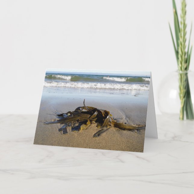 Seaweed! Card (Front)