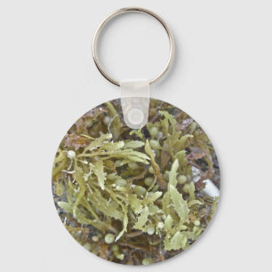 Seaweed Coordinating Items Key Ring