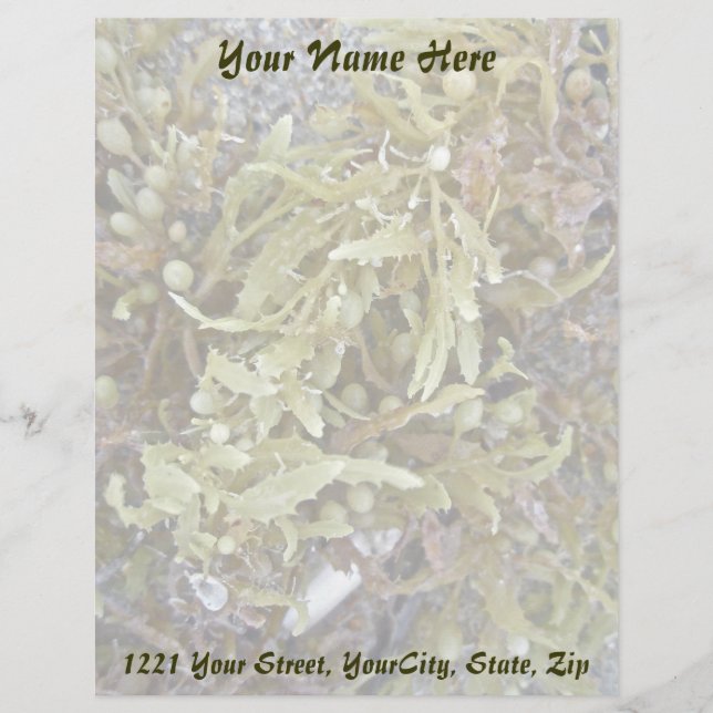 Seaweed Coordinating Items Letterhead Design (Front)