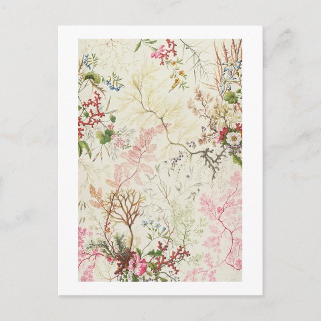 Seaweed design for silk material (w/c on paper) postcard (Front)