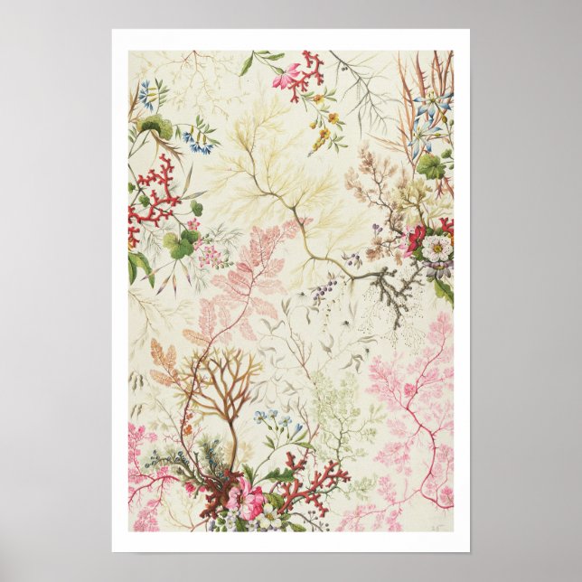 Seaweed design for silk material (w/c on paper) poster (Front)