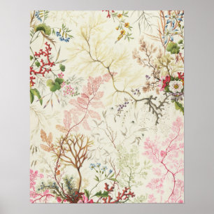 Seaweed design for silk material (w/c on paper) poster