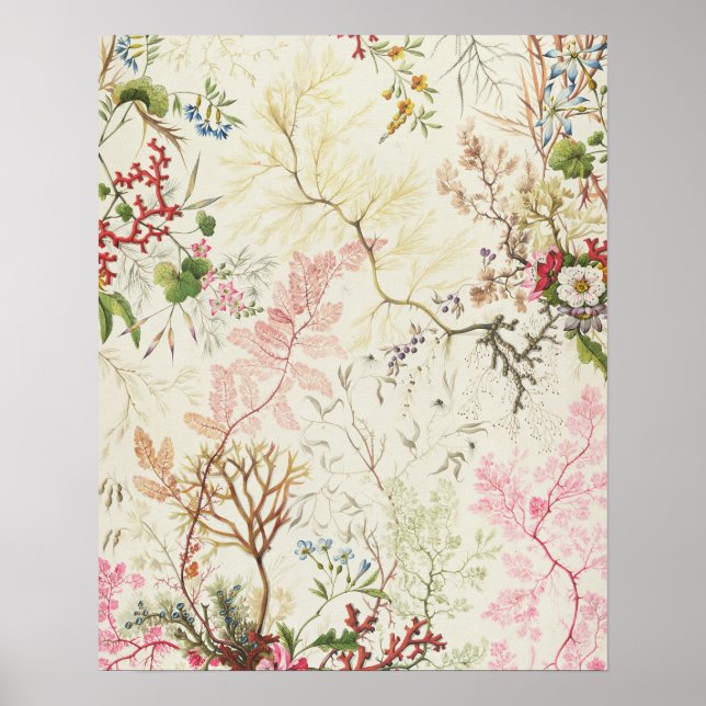 Seaweed design for silk material (w/c on paper) poster (Front)