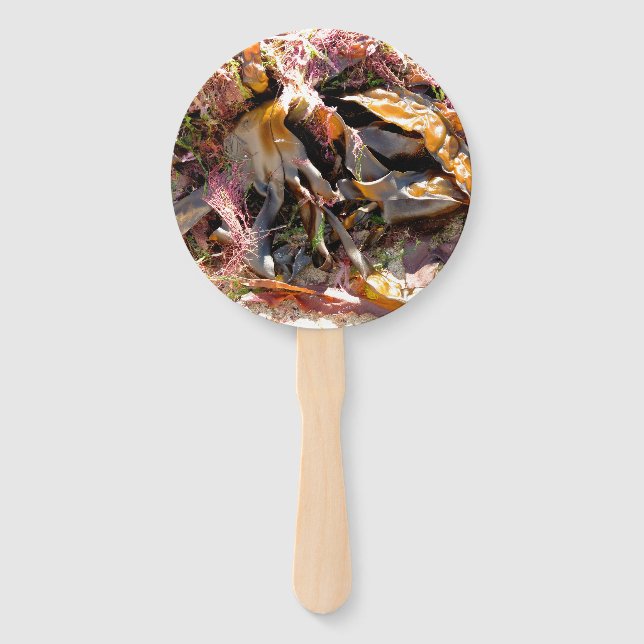 SEAWEED HAND FAN (Front)