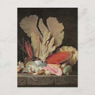 Seaweed, Lithophytes and Seashells Postcard