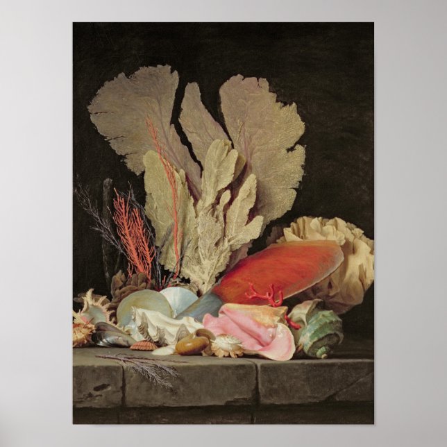 Seaweed, Lithophytes and Seashells Poster (Front)