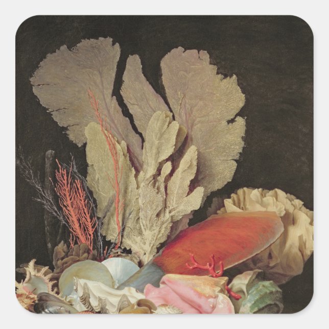 Seaweed, Lithophytes and Seashells Square Sticker (Front)