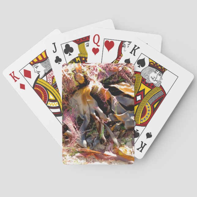SEAWEED PLAYING CARDS (Back)