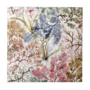 Seaweed Silk Fabric Art Ceramic Tile