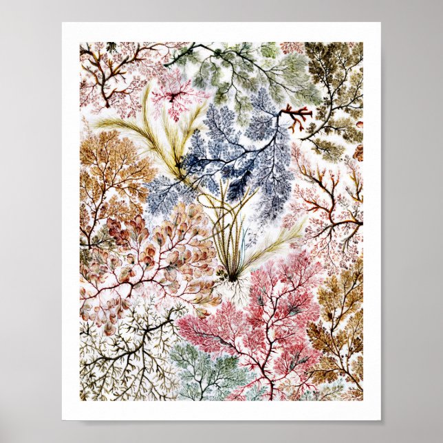 Seaweed Silk Fabric Art Poster (Front)