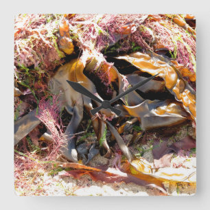 SEAWEED SQUARE WALL CLOCK