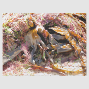 SEAWEED TISSUE PAPER