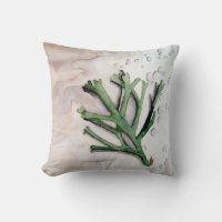 Seaweed watercolor