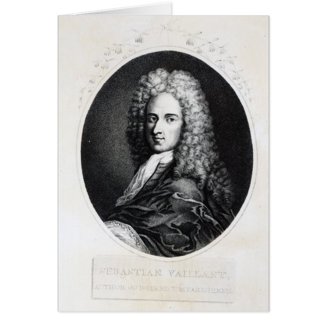 Sebastien Vaillant (Front)