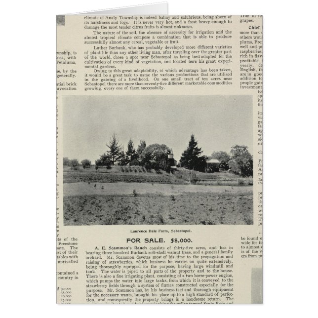 Sebastopol, California (Front)