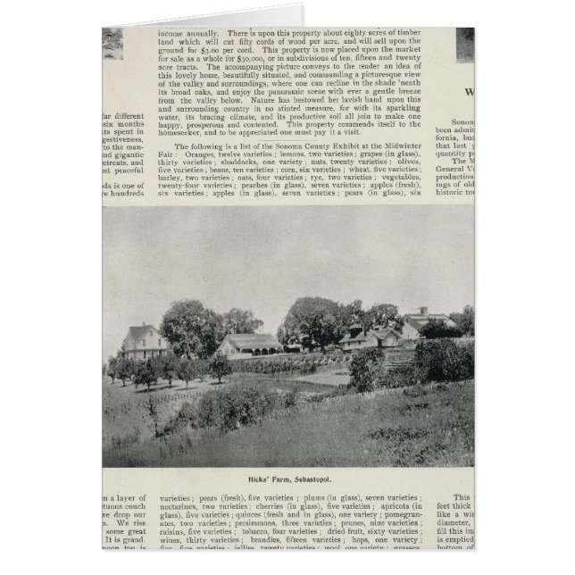 Sebastopol, California (Front)