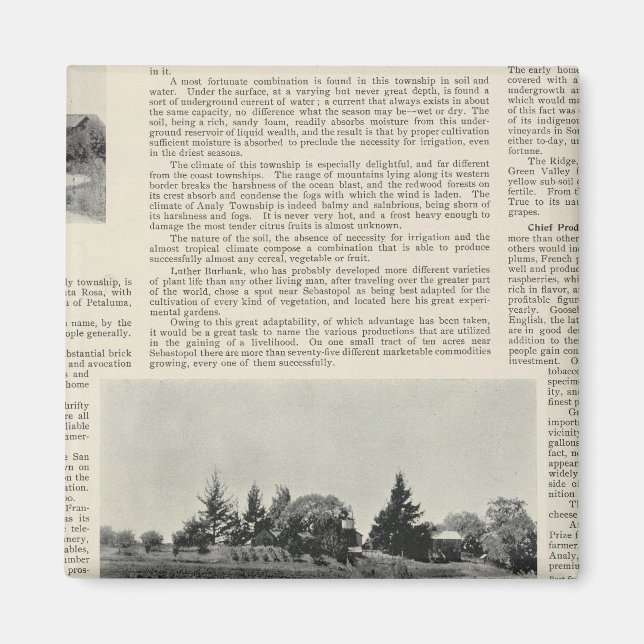 Sebastopol, California Magnet (Front)