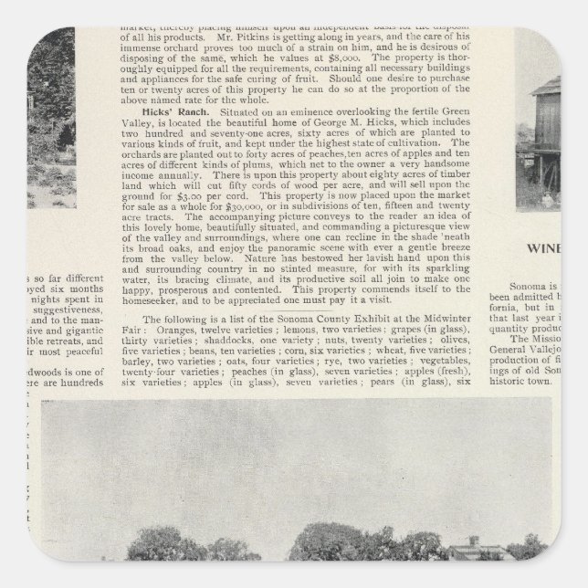 Sebastopol, California Square Sticker (Front)