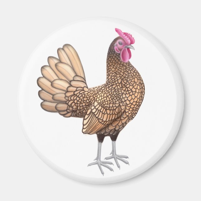 Sebright Bantam Rooster Round Magnet (Front)