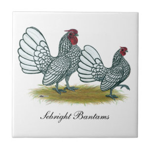 Sebright Bantams:  Silver Ceramic Tile