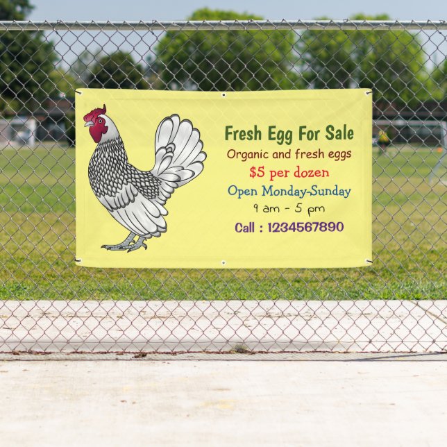 Sebright chicken cartoon fresh egg sign for sale (Insitu)