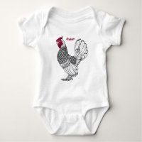 Sebright chicken cartoon illustration