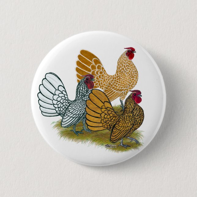 Sebright Rooster Assortment 6 Cm Round Badge (Front)