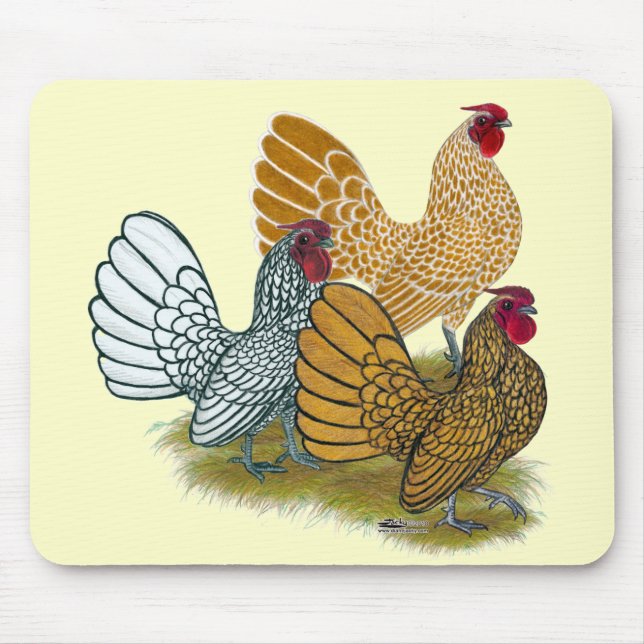 Sebright Rooster Assortment Mouse Pad (Front)