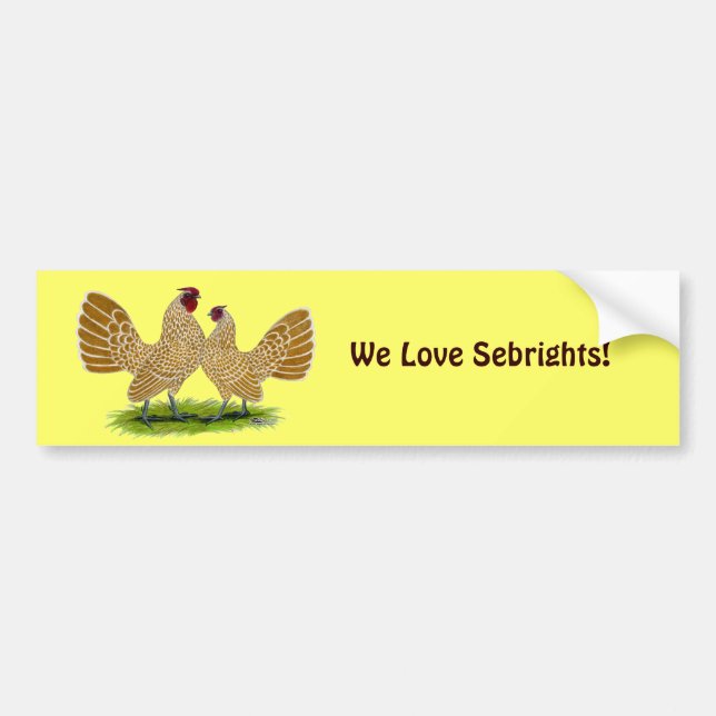 Sebrights Buff Laced Bumper Sticker (Front)