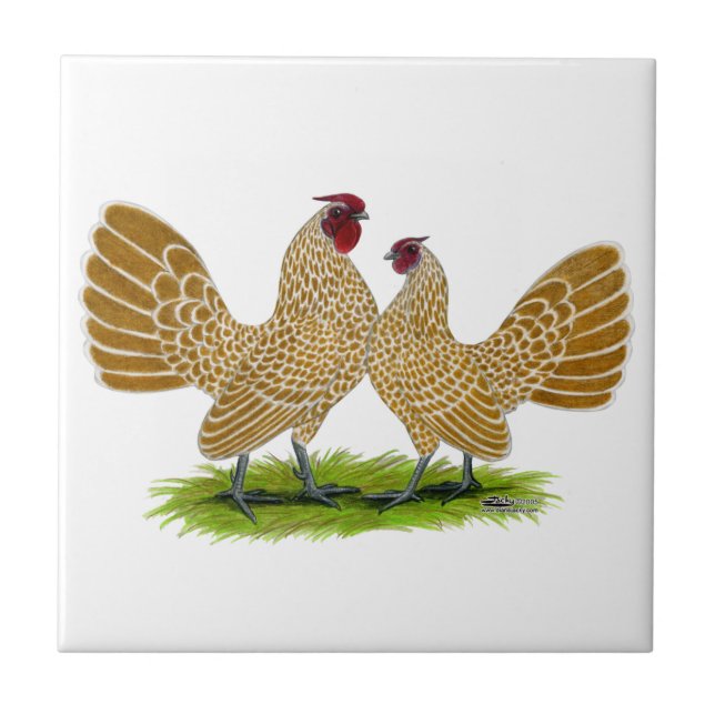 Sebrights Buff Laced Tile (Front)