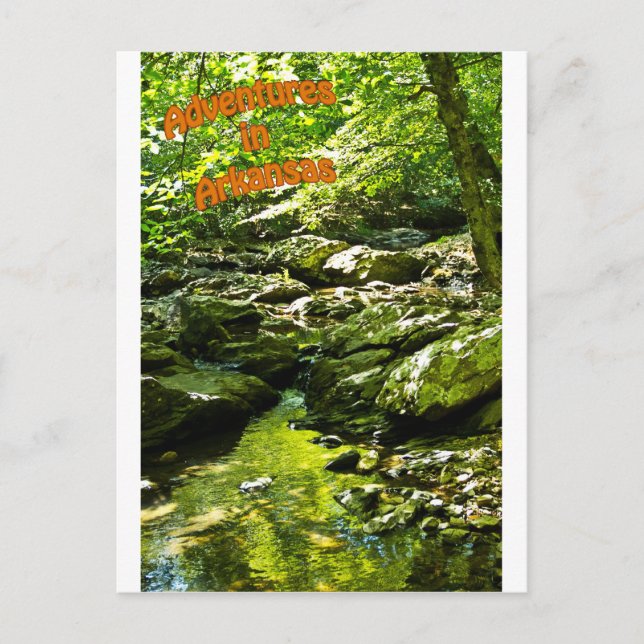 Secluded Stream Postcard (Front)