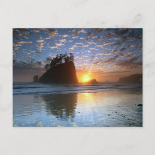 Second Beach, La Push, Sonnenuntergang, Postcard