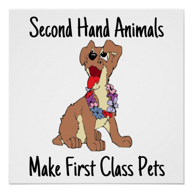 Second Hand Animals Make First Class Glossy Poster (Front)