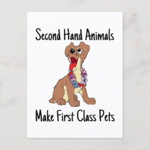 Second Hand Animals Make First Class Pets Postcard