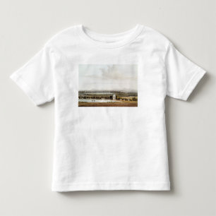 Second view looking north from the Pagoda Toddler T-Shirt