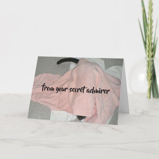 Secret Admirer Valentine from the Cat Holiday Card (Front)