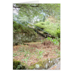secret garden card