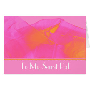 Secret pal