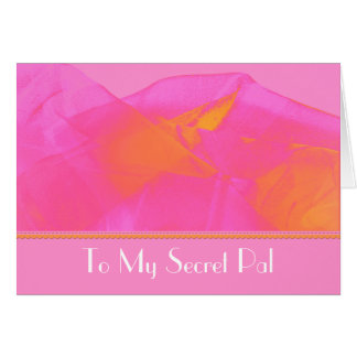 Secret pal