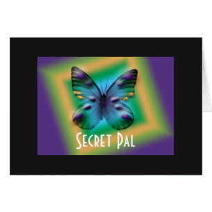 Secret Pal Boxed Butterfly