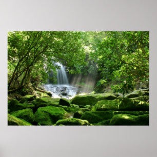 Secret Paradise (Charlie Falls, North Carolina) Poster