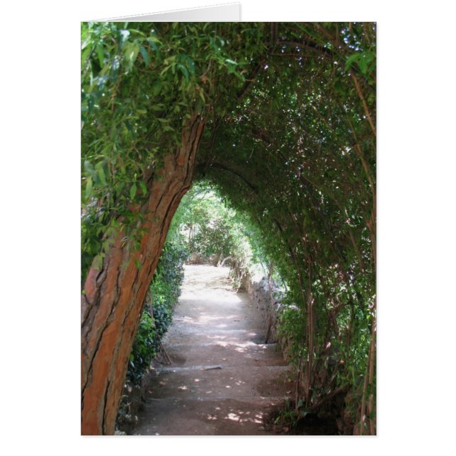 Secret Path in Gaudi's Garden - Photo Card (Front)