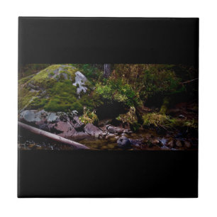 Secret Place Ceramic Tile