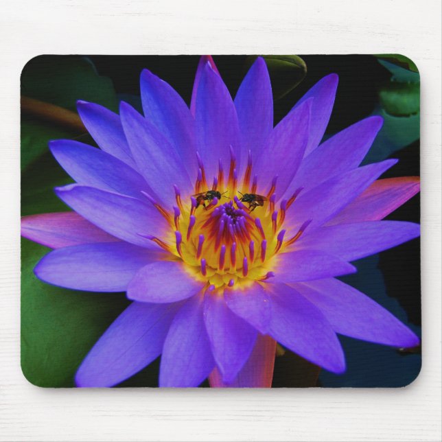 Secret Rendezvous Mouse Pad (Front)