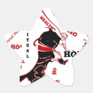 Secret Santa Gift – Prosperity & Wealth Star Sticker