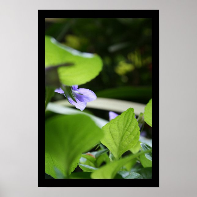 Secret Violet Floral Photography Poster (Front)