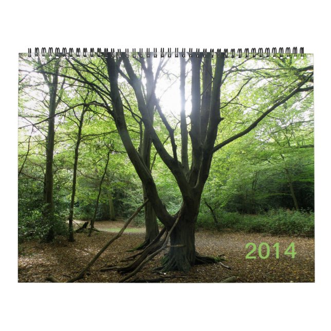 Secret Wild London 2014 Calendar (Cover)