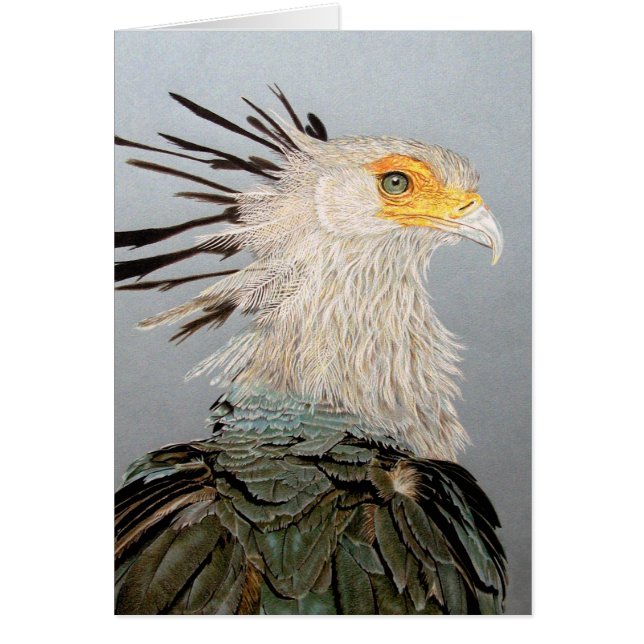 Secretary Bird (Front)
