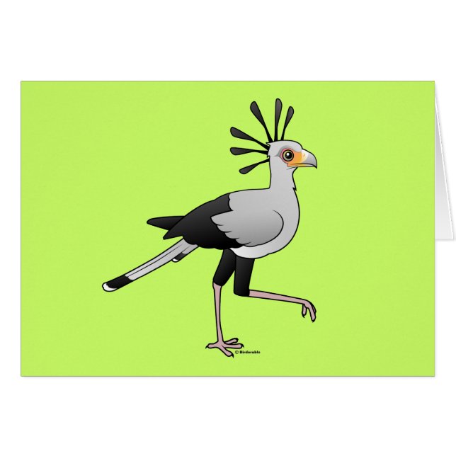 Secretary Bird (Front Horizontal)