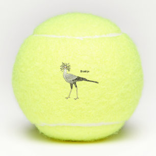 Secretary bird cartoon illustration tennis balls